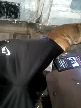 Snapshot of Wero4200 chatting on March 13, 9:05 am Wero4200 online show from March 13, 9:05 am