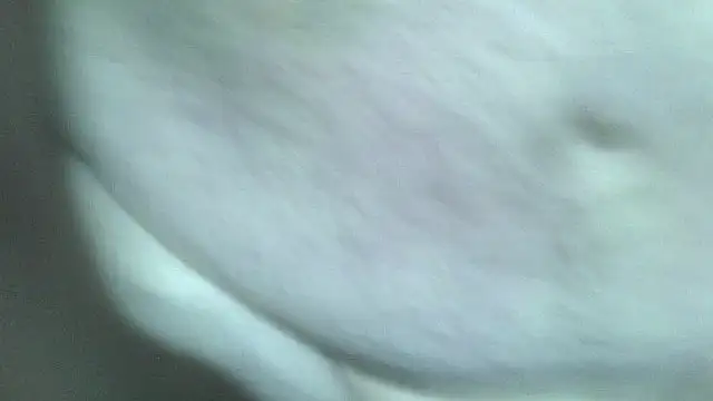 Snapshot of fishhead2100 chatting on December 16, 7:24 am fishhead2100 online show from December 16, 7:24 am