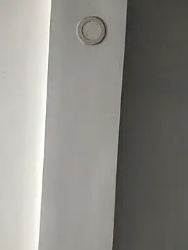 ElsecretodeBruno online show from February 18, 6:15 pm