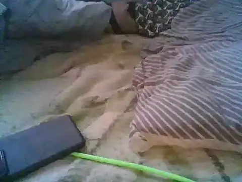 xsexy on91 online show from December 5, 7:50 am