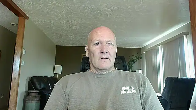 BasicAnt online show from September 15, 2:28 pm