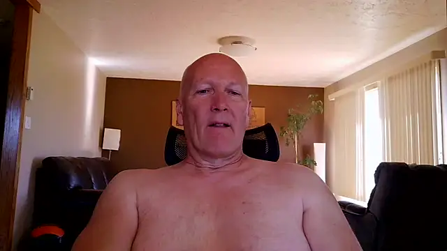 Snapshot of BasicAnt chatting on June 1, 2:52 pm BasicAnt online show from June 1, 2:52 pm