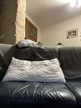 Snapshot of steph19x5 chatting on March 14, 6:19 am steph19x5 online show from March 14, 6:19 am