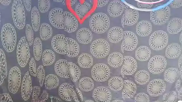 LunaRai online show from February 6, 3:11 am