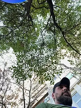 Snapshot of TigerOne19 chatting on October 29, 10:17 am TigerOne19 online show from October 29, 10:17 am