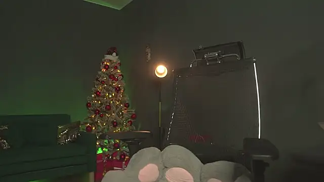 Snapshot of mirawair chatting on November 25, 2:50 pm mirawair online show from November 25, 2:50 pm