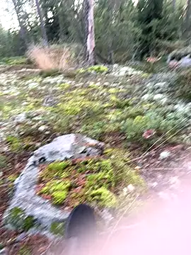 Snapshot of Andreashow chatting on September 22, 4:09 pm Andreashow online show from September 22, 4:09 pm