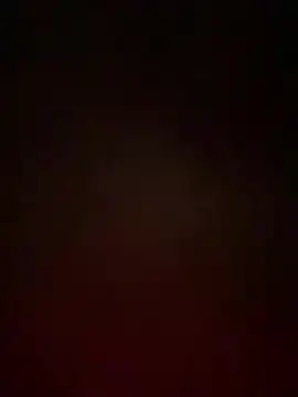 Noxarcane online show from January 11, 11:59 am