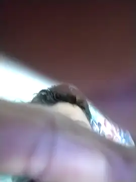 mezenga9813 online show from February 6, 2:16 am