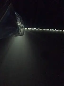 Snapshot of Janssen88 chatting on January 12, 8:57 am Janssen88 online show from January 12, 8:57 am