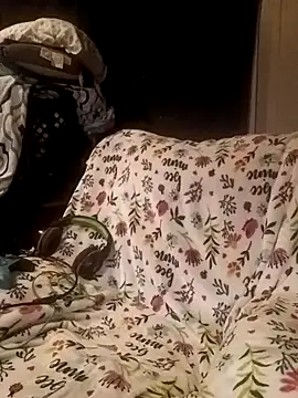 ShadowyTube online show from February 19, 6:33 am