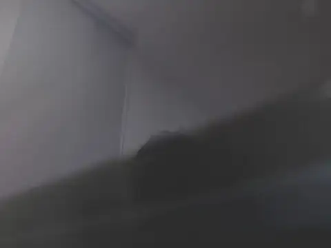 violetasweet11 online show from February 19, 7:04 am