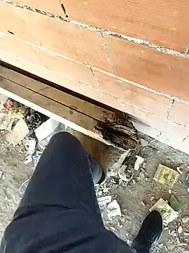 K-27 online show from October 5, 9:07 am