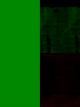 Snapshot of GeilerSchweizer chatting on November 25, 8:47 am GeilerSchweizer online show from November 25, 8:47 am