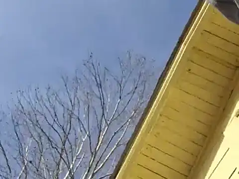 Snapshot of highstepper500 chatting on December 25, 11:10 pm highstepper500 online show from December 25, 11:10 pm