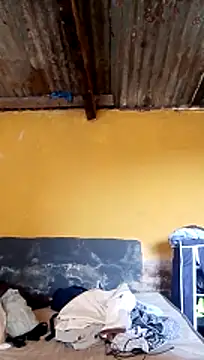 LULE37587001 online show from March 20, 5:56 am