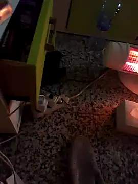 Snapshot of GeorgeTatiana chatting on December 15, 2:19 am GeorgeTatiana online show from December 15, 2:19 am