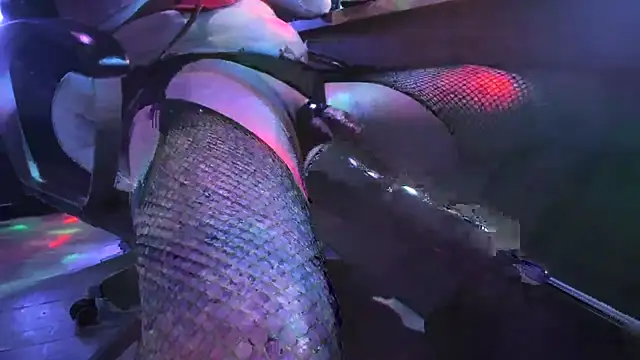 Snapshot of slankecrosdresser chatting on November 2, 12:57 am slankecrosdresser online show from November 2, 12:57 am