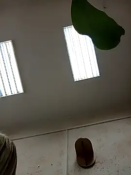 Office Albertina online show from January 18, 10:13 pm