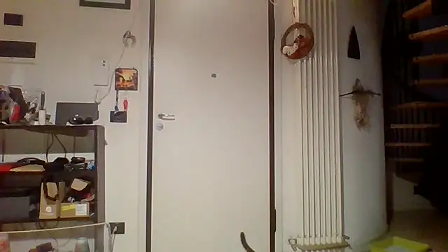 Snapshot of woww791 chatting on March 25, 9:54 pm woww791 online show from March 25, 9:54 pm