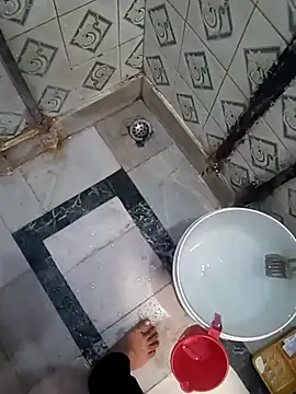 sum6255 online show from November 26, 6:47 am