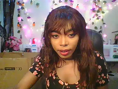 Anaconda2350 online show from November 24, 11:10 am