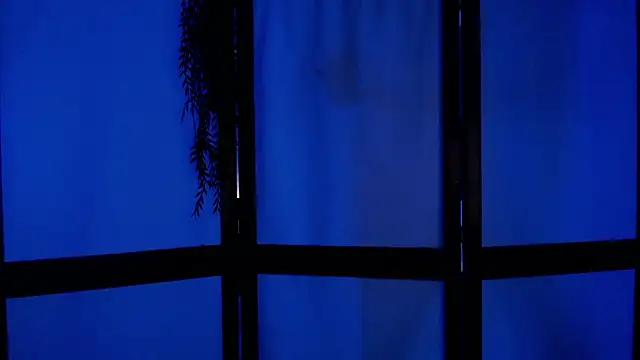 Wildorchid  online show from December 2, 4:53 am