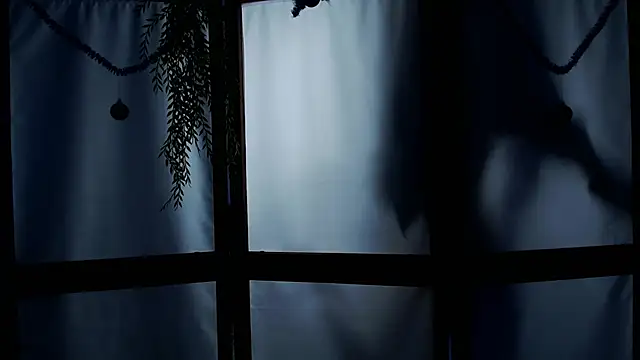 Wildorchid  online show from January 19, 6:20 am