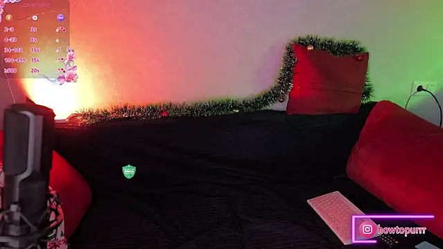 Snapshot of How2Meow chatting on December 24, 5:23 pm How2Meow online show from December 24, 5:23 pm