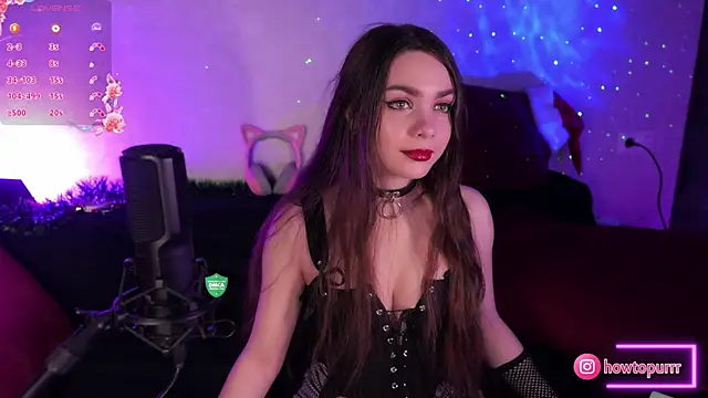 Snapshot of How2Meow chatting on January 23, 5:31 pm How2Meow online show from January 23, 5:31 pm