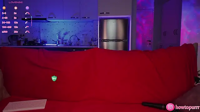 Snapshot of How2Meow chatting on December 2, 4:46 pm How2Meow online show from December 2, 4:46 pm