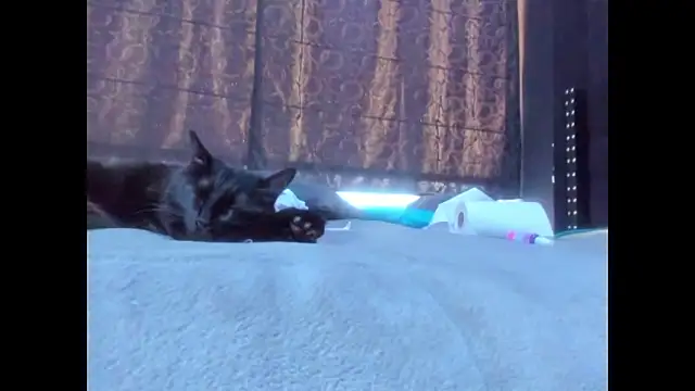 amareto queen online show from March 25, 7:53 pm