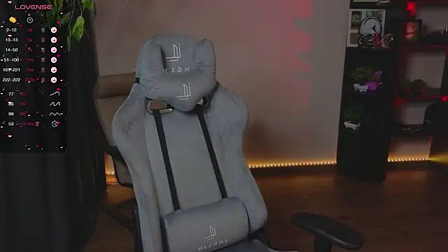 zelda 1 online show from December 5, 4:03 pm