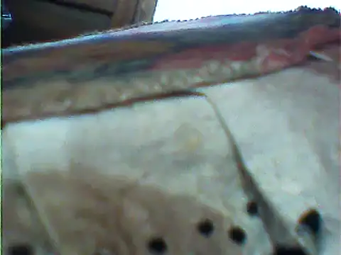 messi syssy online show from February 25, 10:58 am