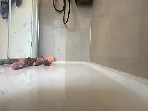 Snapshot of angelus112 chatting on March 29, 3:56 pm angelus112 online show from March 29, 3:56 pm