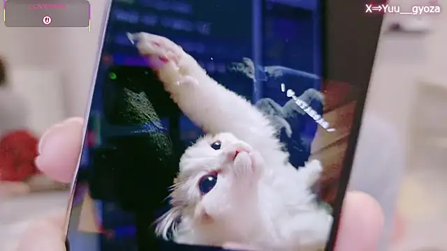 Yuu  k online show from March 7, 2:36 pm