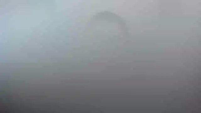 smile sweetpao online show from February 23, 10:31 pm