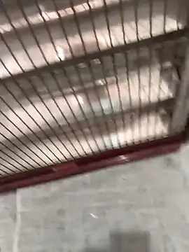 mustican422 online show from October 25, 11:07 am