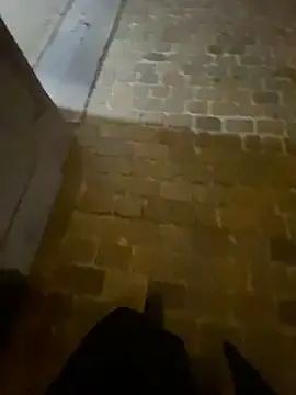 Thepanthera online show from September 22, 4:47 am