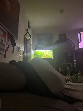 Toyjungee online show from January 12, 8:08 am