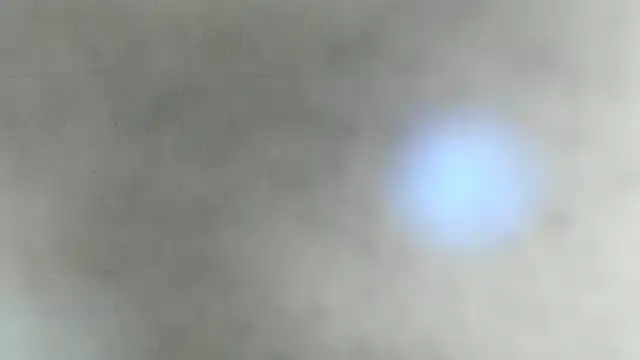 natasha logan  online show from February 1, 7:05 am