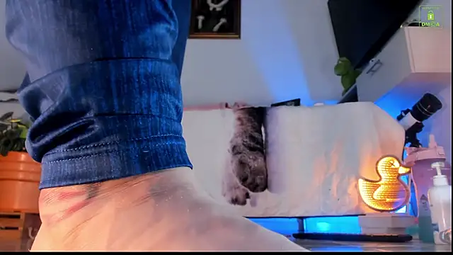 miaa-lee online show from October 23, 4:28 pm