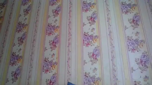 Skills  online show from December 5, 5:26 am