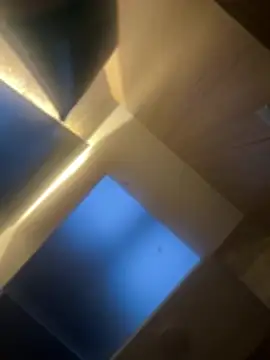 CeliWoods online show from February 6, 11:13 am