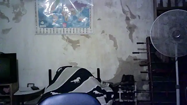 Emv2 online show from November 26, 4:57 am