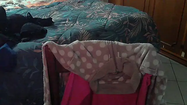 Snapshot of stellin chatting on February 17, 4:57 pm stellin online show from February 17, 4:57 pm