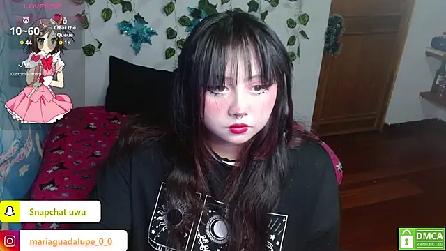 litlle cat online show from January 14, 5:30 am