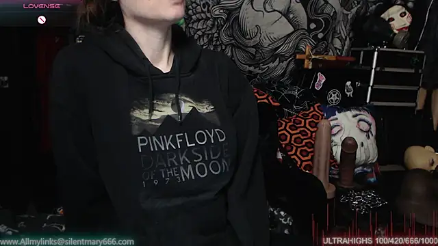 Silentmary online show from February 12, 11:51 pm