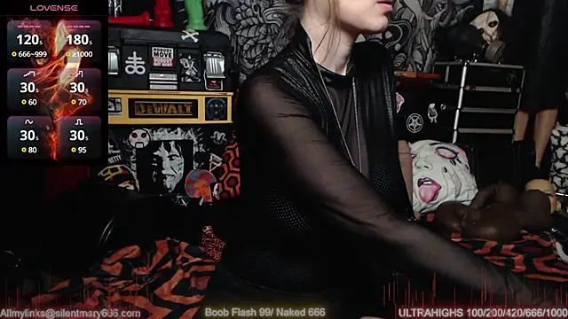 Silentmary online show from February 27, 4:53 pm