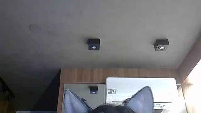 Skinny-Kitten online show from October 31, 9:21 am